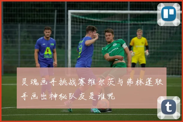 灵魂画手挑战赛维尔茨与弗林蓬联手画出神秘队友是谁呢