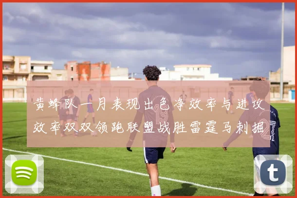 黄蜂队一月表现出色净效率与进攻效率双双领跑联盟战胜雷霆马刺掘金