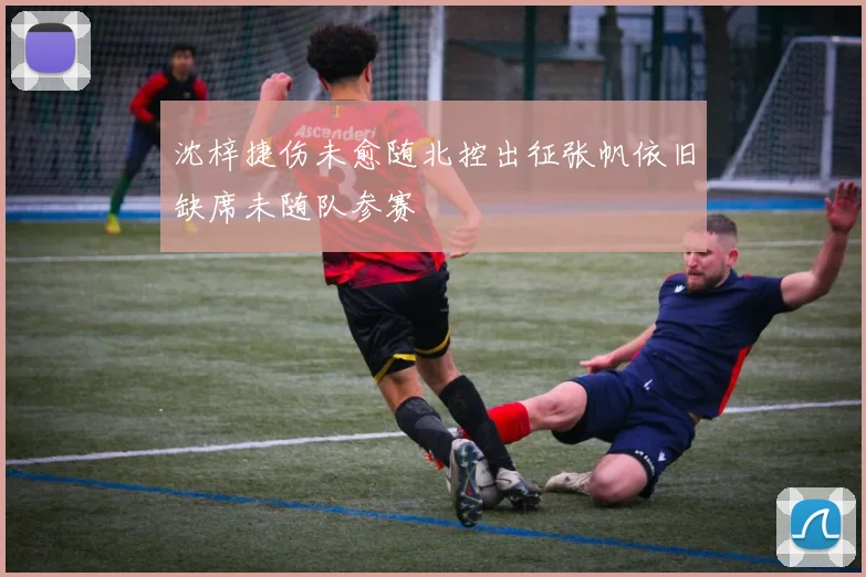 沈梓捷伤未愈随北控出征张帆依旧缺席未随队参赛